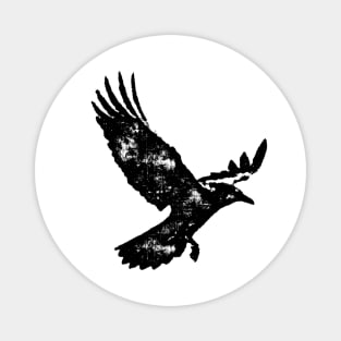 Distressed Raven Magnet